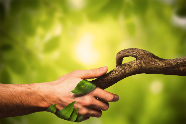 Shift #3 - A More Humble Humanity