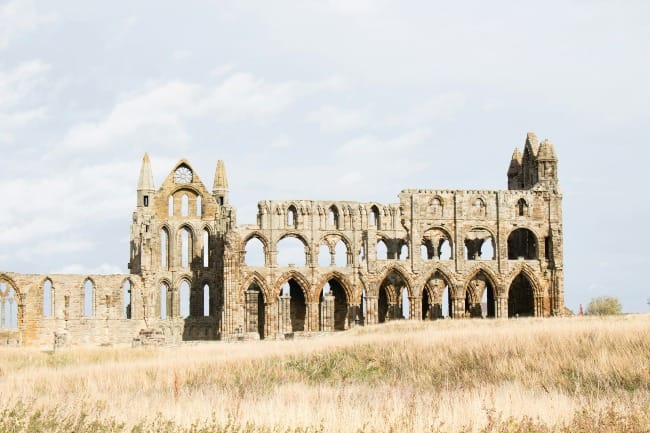 brown concrete ruin building