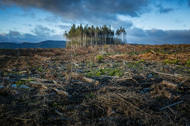 Forestry activities in Tasmania, Australia.