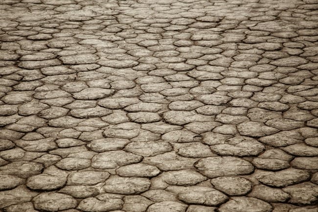 a black and white photo of a stone pavement