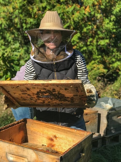 The Art of Creation: Collaborating with Bees