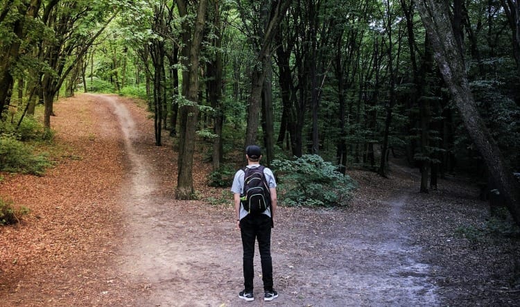man standing in the middle of woods