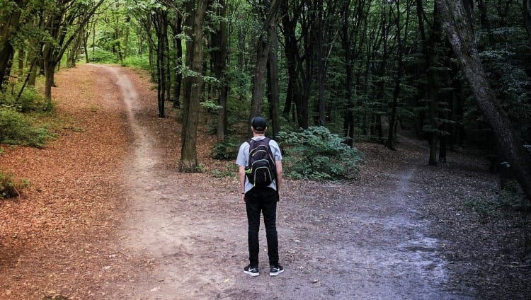 man standing in the middle of woods