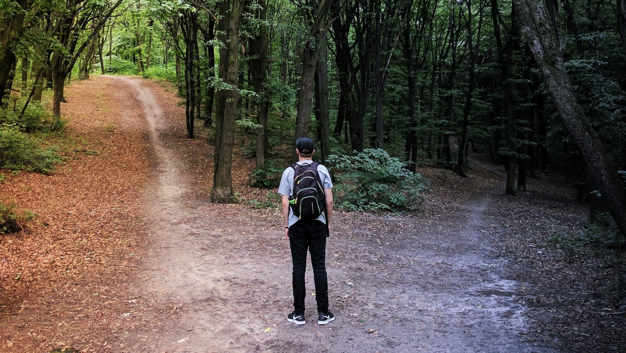 man standing in the middle of woods