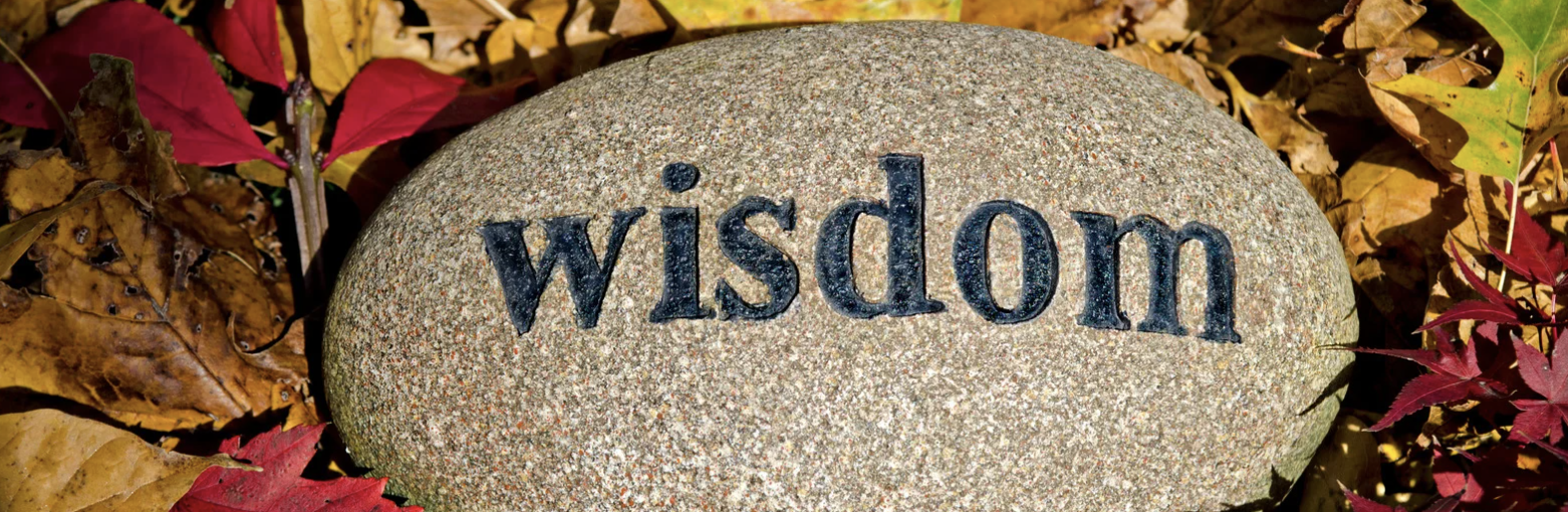 The Way Forward: Wisdom In the Midst of Uncertainty