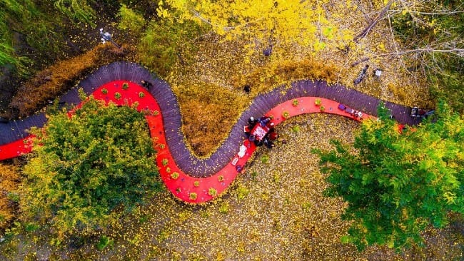 The Art of Creation: Simple Does It