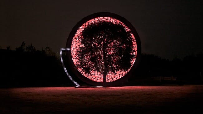 The Art of Creation: Translating the Data of Change