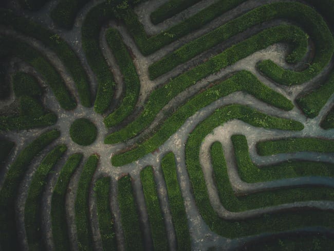 The Art of Creation: Path for Peace