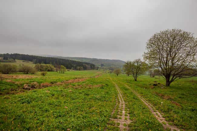 The Art of Creation: Where There Was Wire