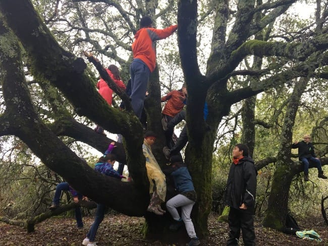 Learning (and Teaching) the Names of Things