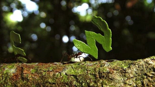 The Art of Creation: Moving Parts