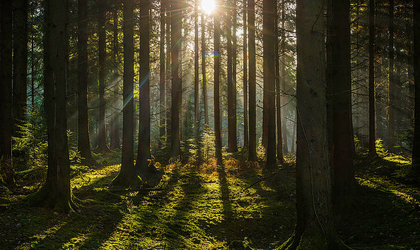 Can We Help Each Other Grow?