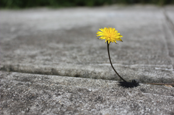 Exodus 1: The Unstoppable Blessing