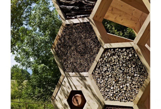 The Art of Creation: Not Just the Honeybee