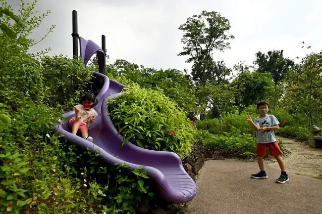 The Art of Creation: Entry Paths