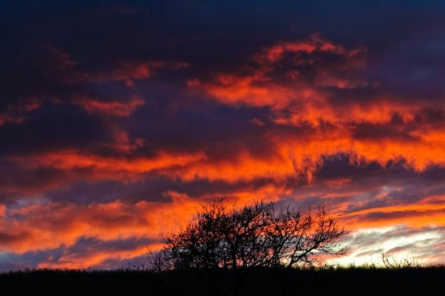 Exodus for an Ecological Age