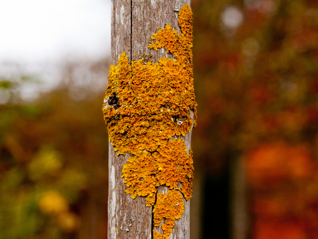 The Art of Creation: Making a World