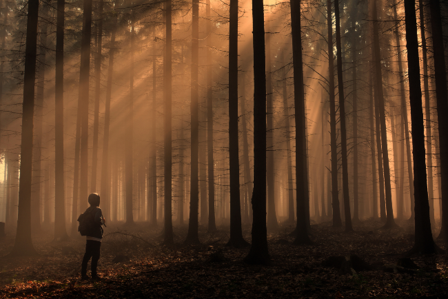 The Art of Creation: Standing in Place