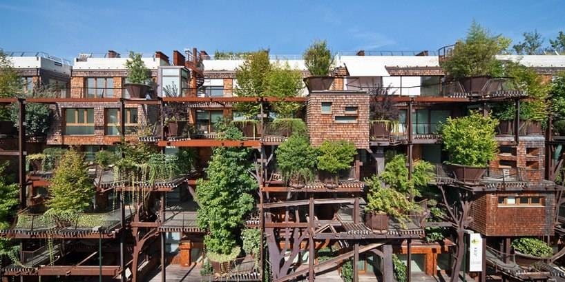 The Art of Creation: Living Amidst Trees