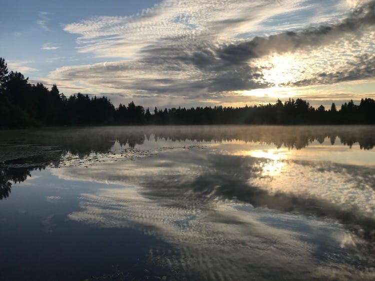 The Art of Creation: Glory to You