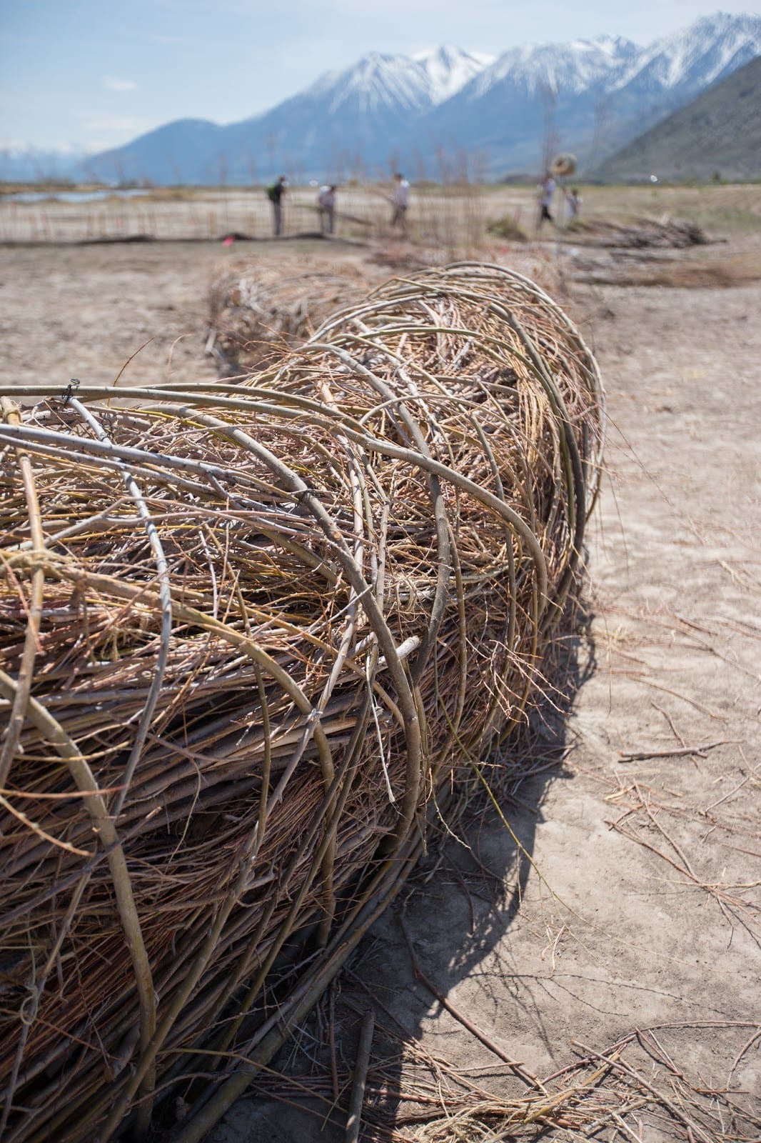 The Art of Creation: Sculpture That Repairs
