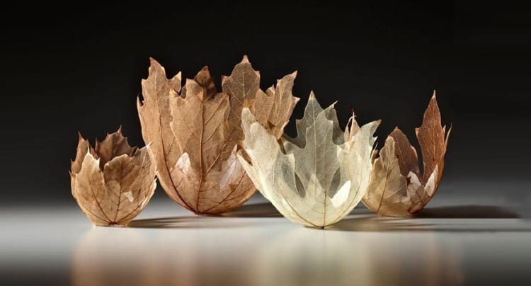 The Art of Creation: Leaf Bowls
