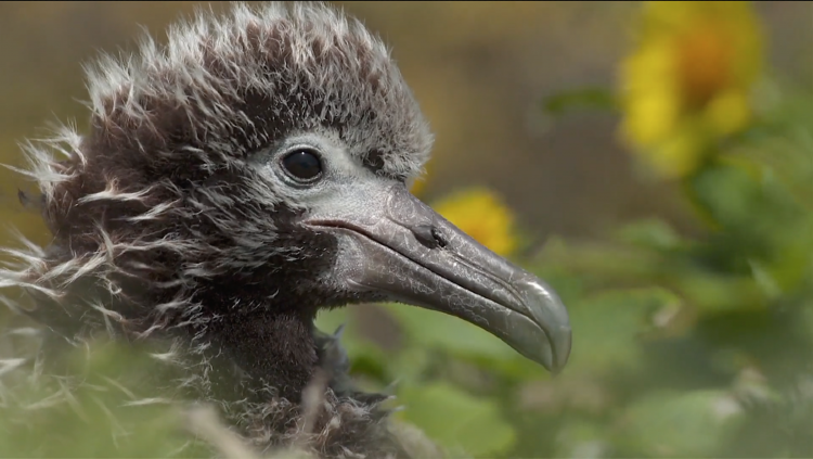 The Art of Creation: Indigestible