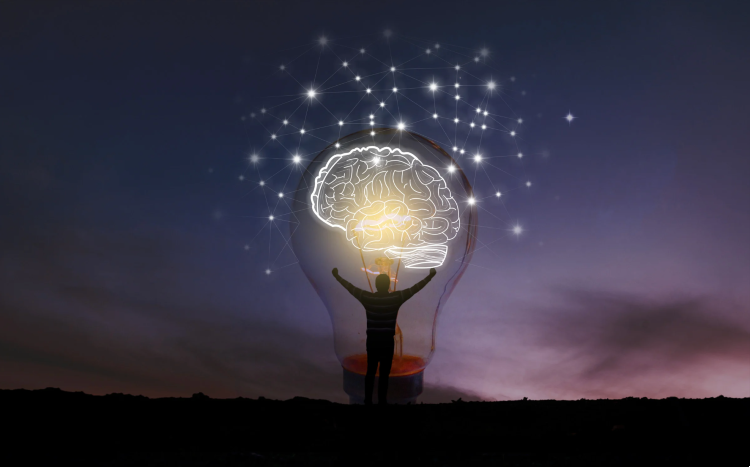 What If We...:The Journey of Imagination