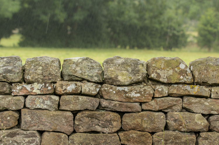 The Art of Creation: Stones that Breathe