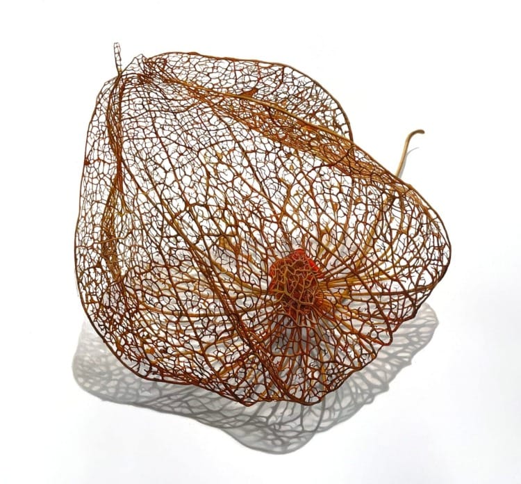 The Art of Creation: Shadows and Scars