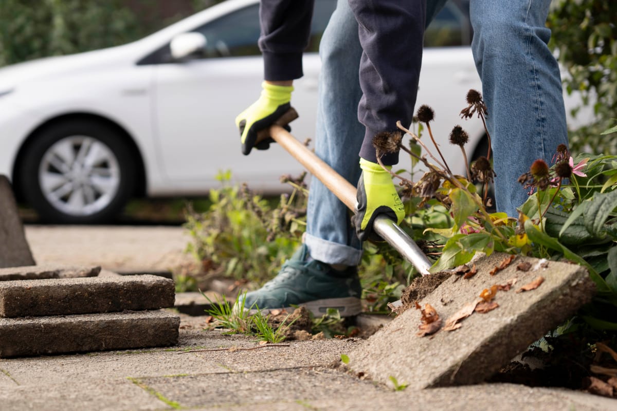 The Art of Creation: Flipping Gray into Green