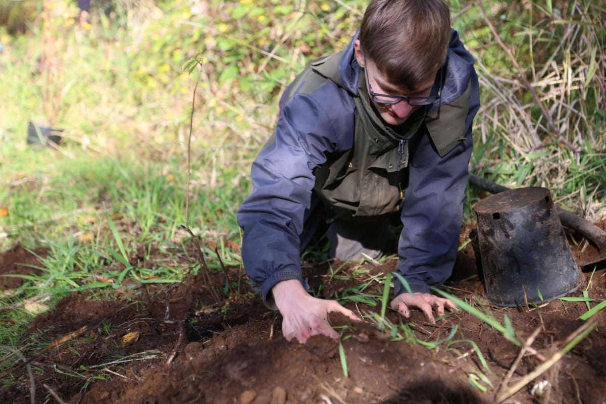 The Way Forward: Gardens of Reconciliation