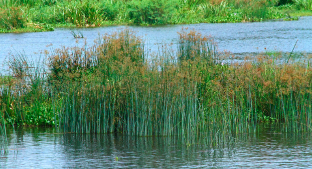 Exodus 2: Resistance and Awakening