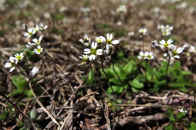 The Art of Creation: Words to See By Part Four