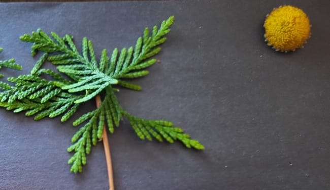 The Art of Creation: A Different Way of Doing Art