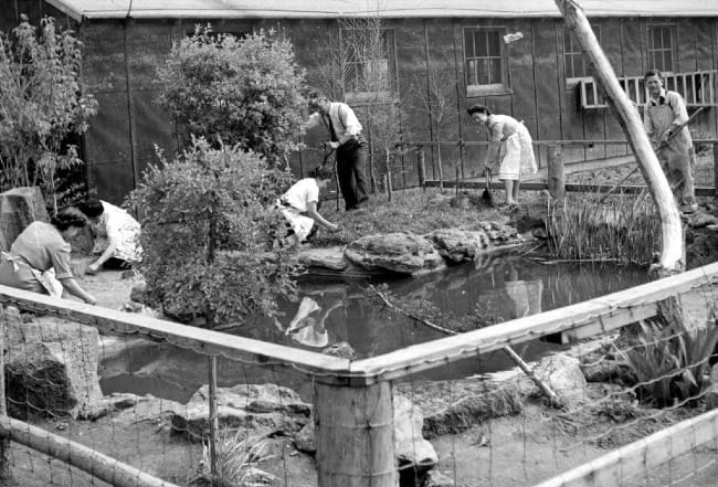 The Art of Creation: Planting Home