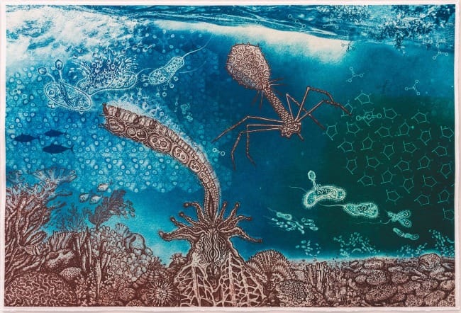 The Art of Creation: A Not-So-Distant Shore