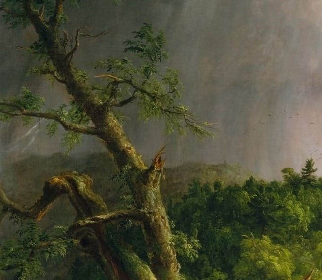 The Art of Creation: The Lure and Illusion of Landscape Art