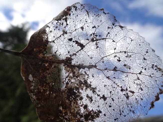 The Art of Creation: Everything is Already Connected