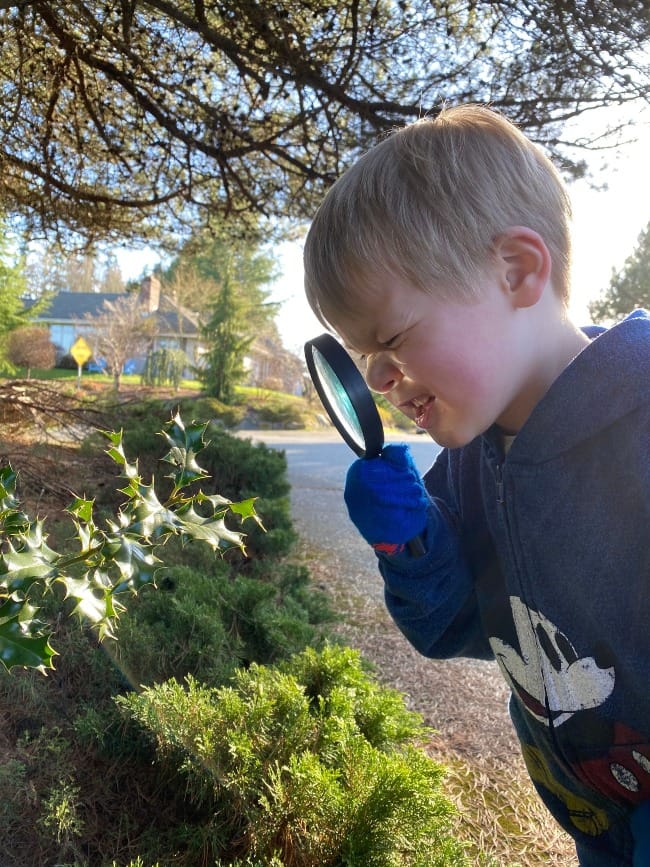 The Art of Creation: A Closer Look