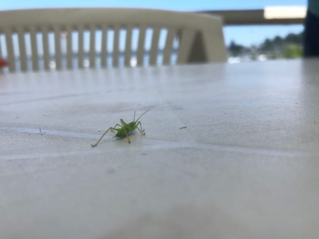 The Art of Creation: Through Our Readers' Eyes