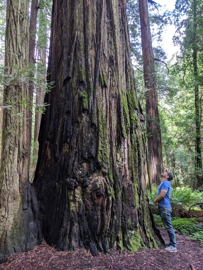 How My Faith Has Shifted #7: Eco Discipleship of My Mind and Body