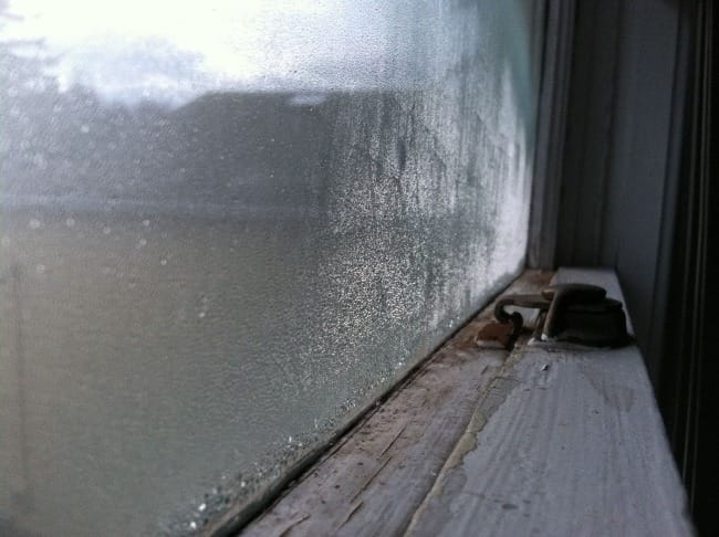 Practical Earthkeeping: Greening Around the House