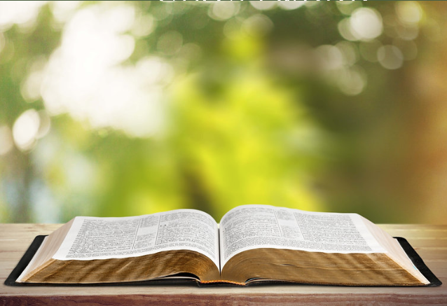 Hiding in Plain Sight: The Ecological Vision of Scripture