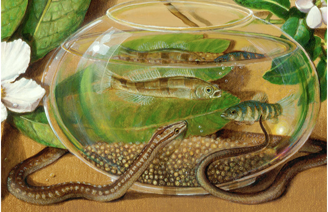 The Art of Creation: "Back" and Its Stories