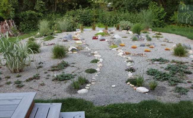 Practical Earthkeeping: Transforming a Septic Drainfield and More