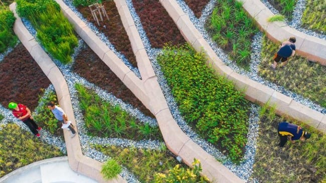 The Art of Creation: Up on the Rooftop