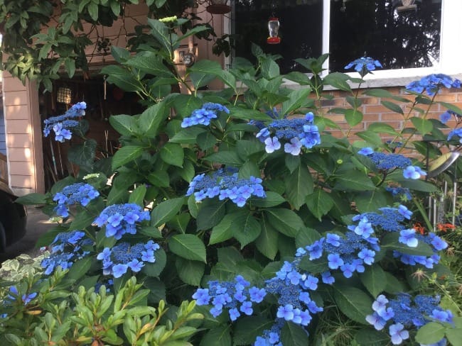 How My Faith Has Shifted #4: Learning to Be a Caretaker