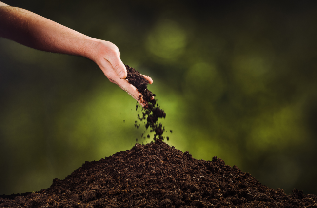 The Art of Creation: Giving Dirt Its Due