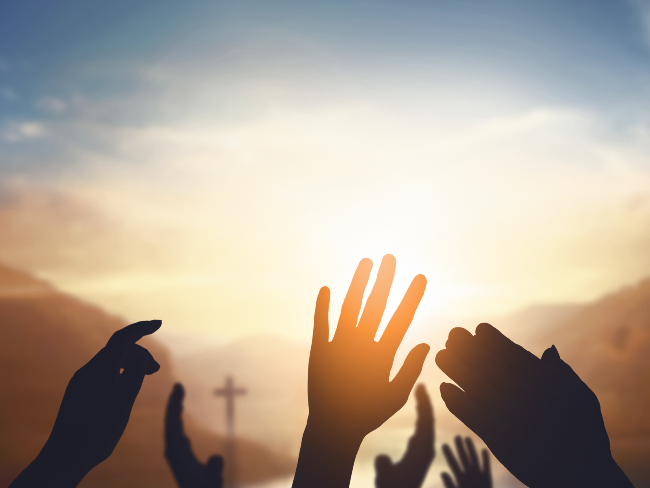 The Art of Creation: Songs for the Movement